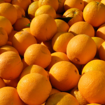 Navel Oranges
