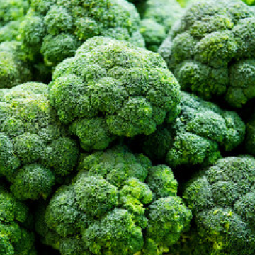 Broccoli