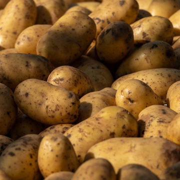 Potatoes