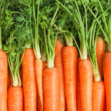 Carrots