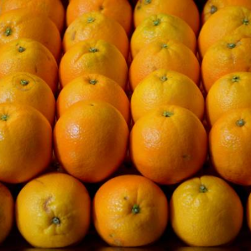 Oranges (Valencia)