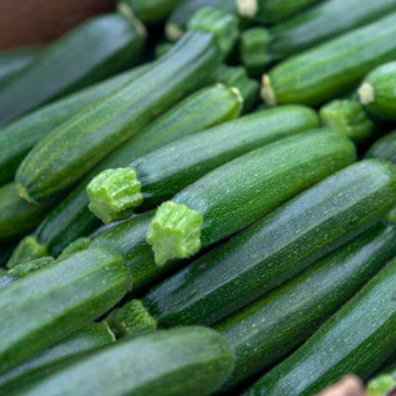 Zucchini
